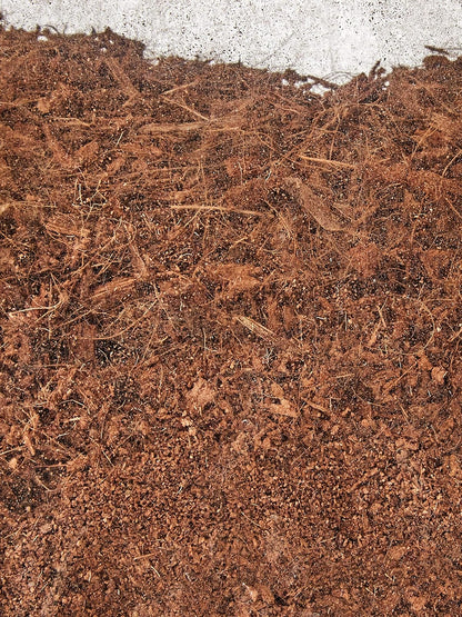 Exo Terra Equatorial Forest Floor Dual Layer Ardisia Leaves & Coconut Hust Fibre Large