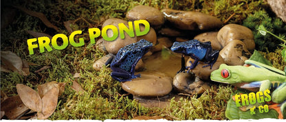 Exo Terra Frog Pond Small Pebble Water Dish