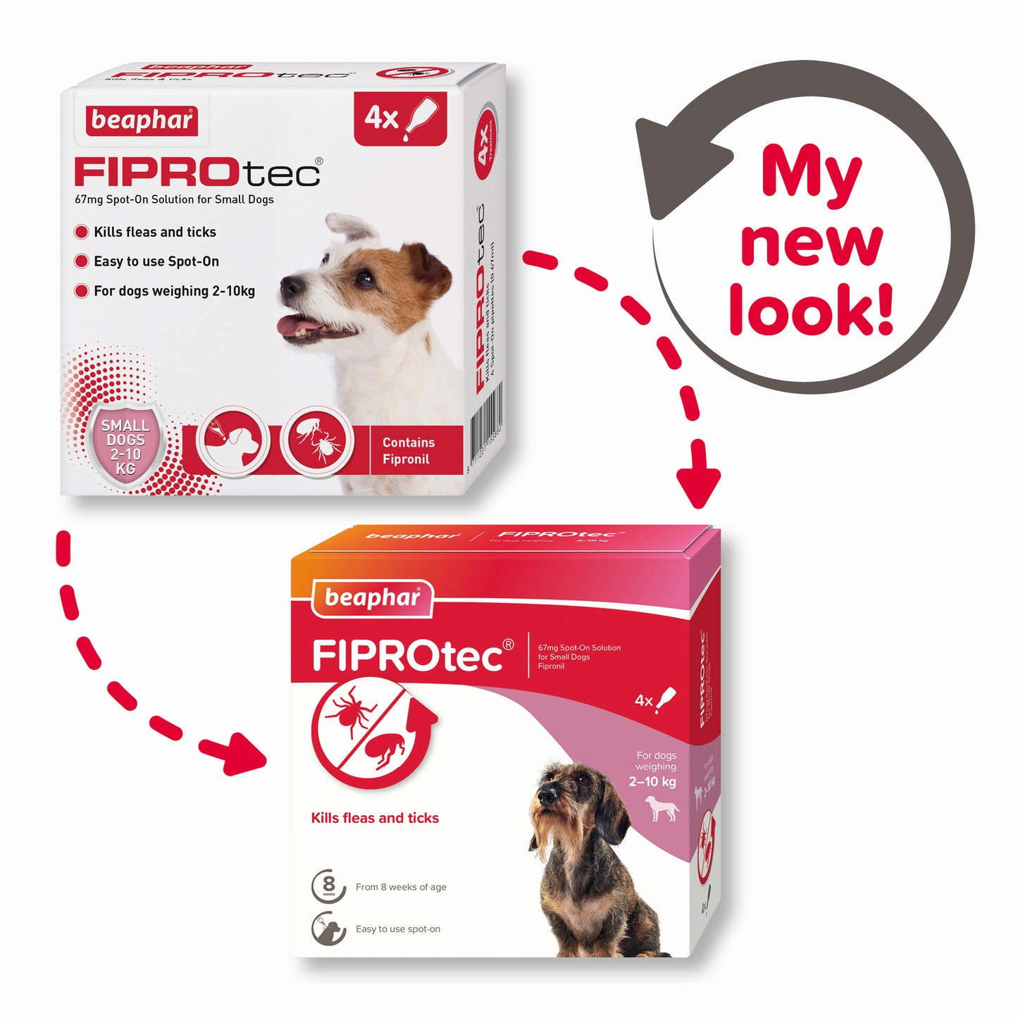 Beaphar Fiprotec Small Dog 2-10Kg 4 Treatment