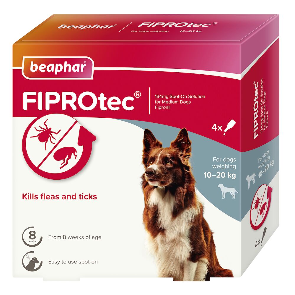 Beaphar Fiprotec Medium Dog 10- 20Kg 4 Treatments
