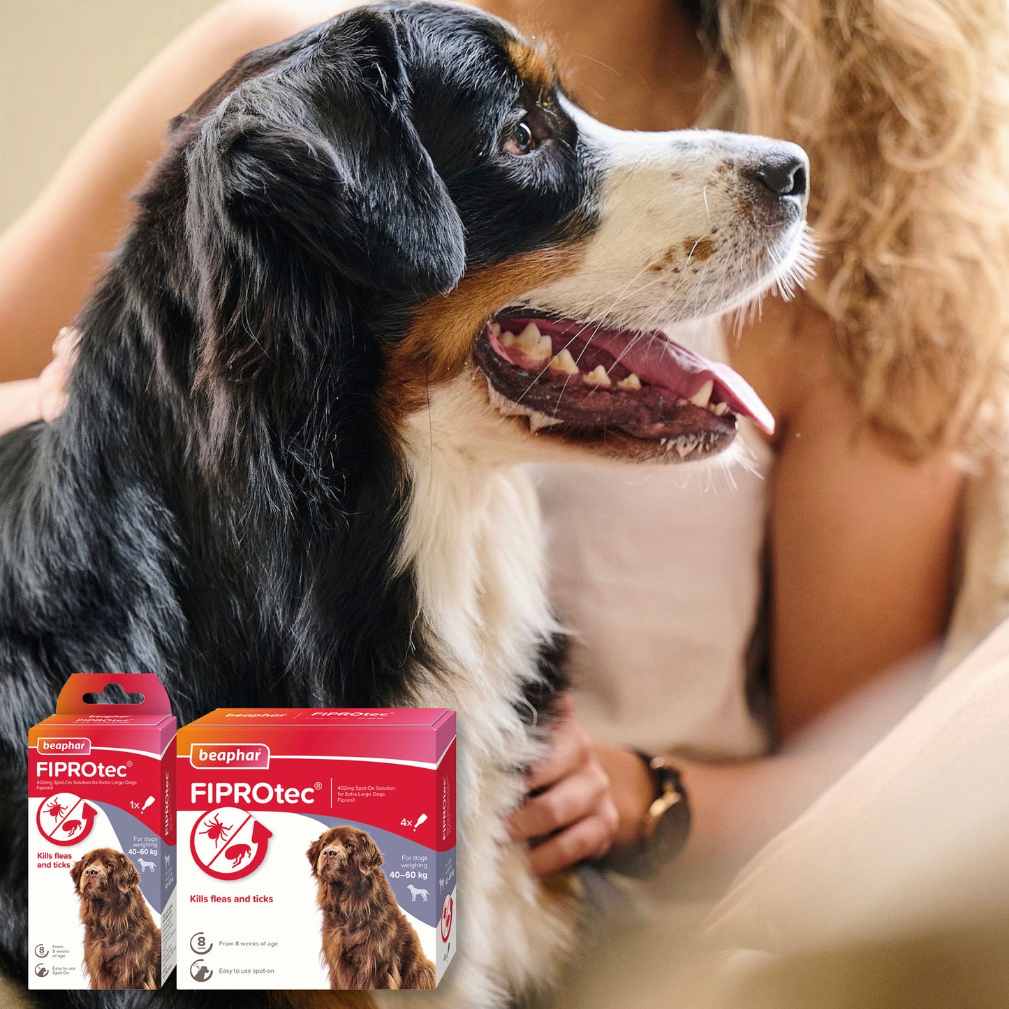 Beaphar Fiprotec Extra Large Dog 40- 60Kg 4 Treatments