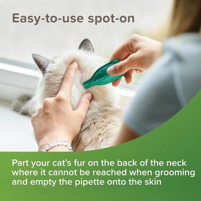 Beaphar VetoPure Cat Spot-On – 24 Week Flea & Tick Treatment, Natural Ingredients
