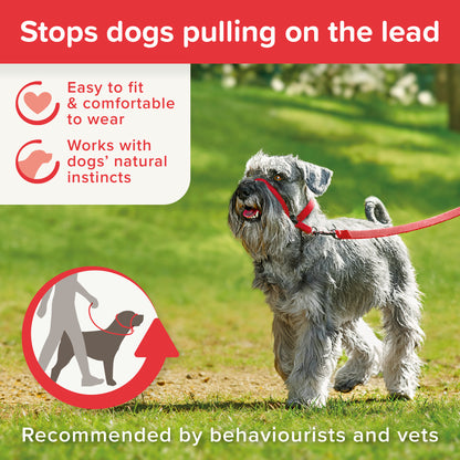 Beaphar Gentle Leader Small Red