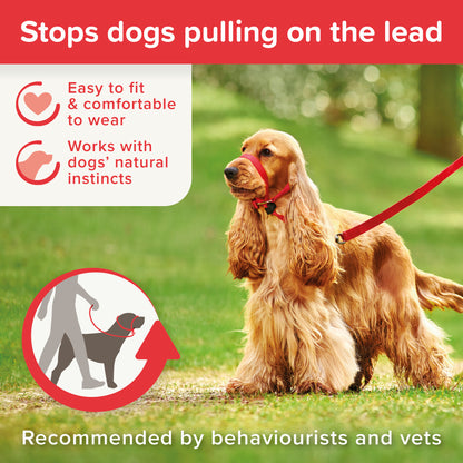 Beaphar Gentle Leader Medium Red