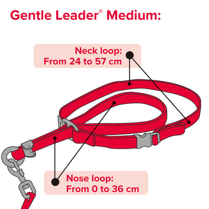 Beaphar Gentle Leader Medium Black