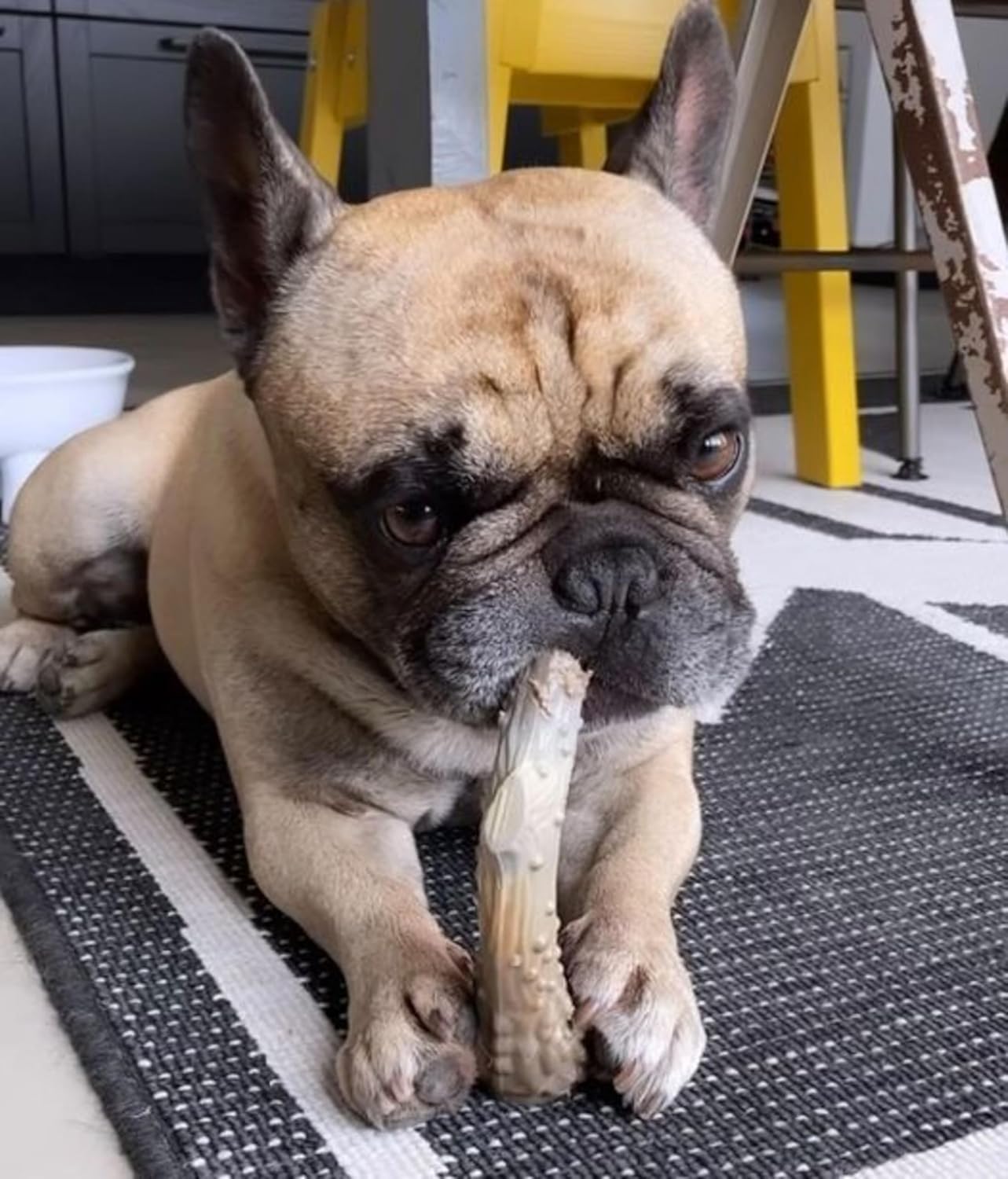 Nylabone Extreme Venison Antler Medium