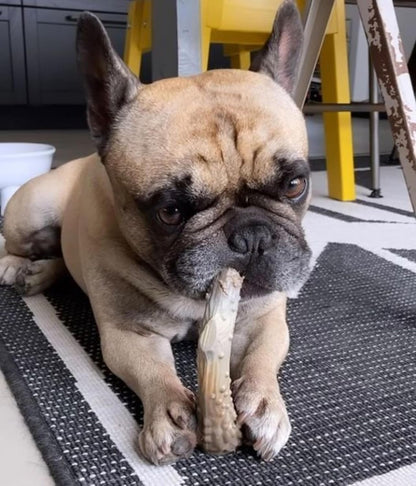 Nylabone Extreme Venison Antler Medium