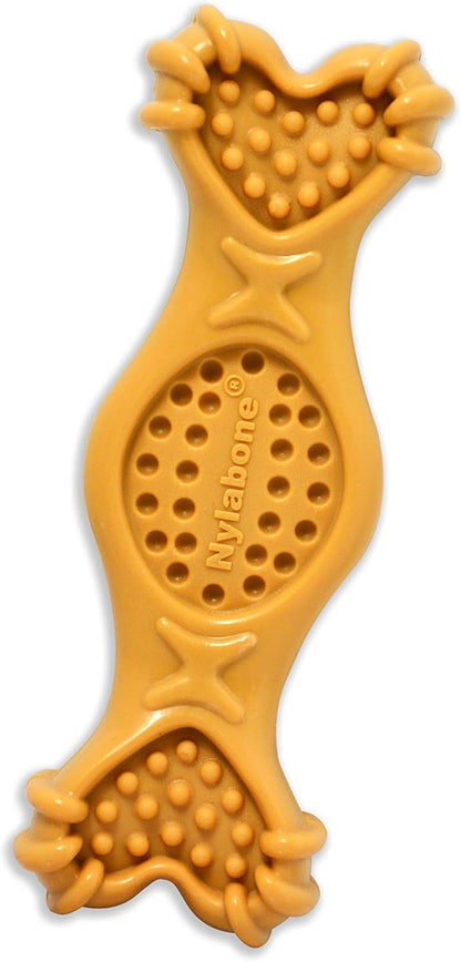 Nylabone Extreme Chew Fill It Treat Medium