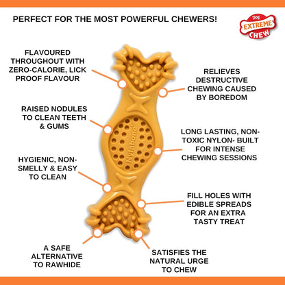 Nylabone Extreme Chew Fill It Treat Medium