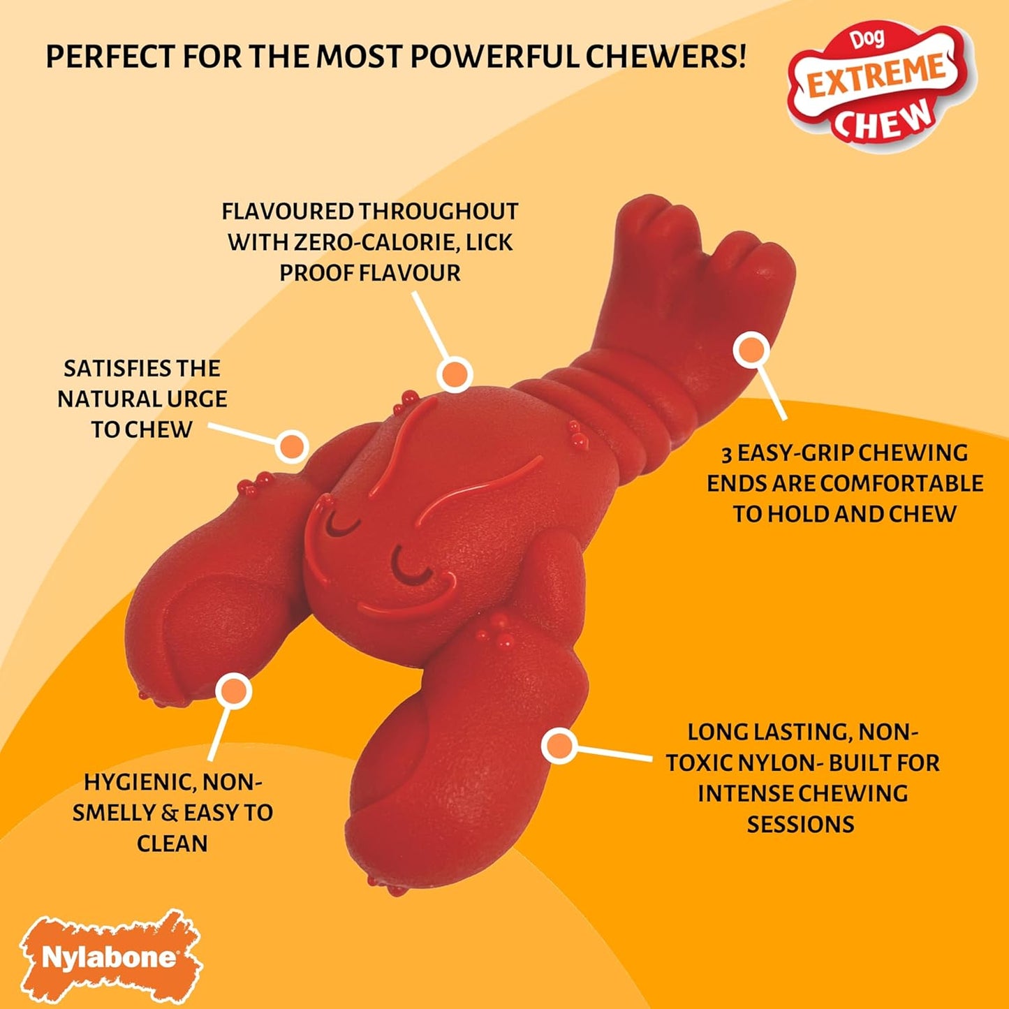 Nylabone Extreme Lobster Fillet Mignon Small