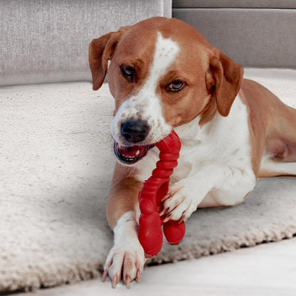 Nylabone Extreme Lobster Fillet Mignon X Large