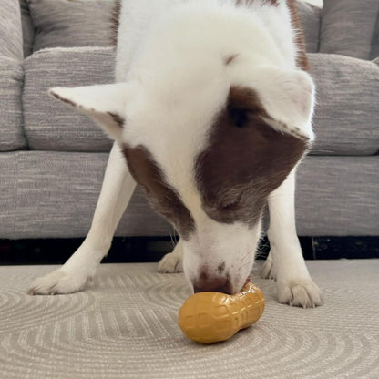 Nylabone Peanut Spread Medium Dog Licking Toy