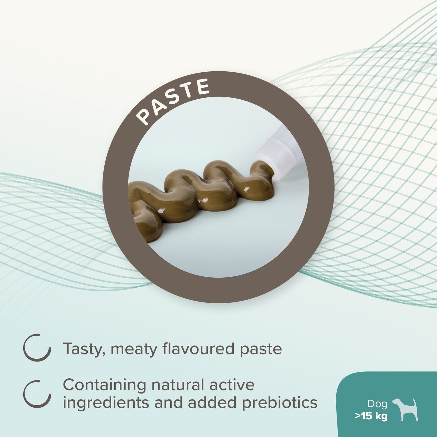 Beaphar IntestoPro Paste For Dogs 2 x 20ml