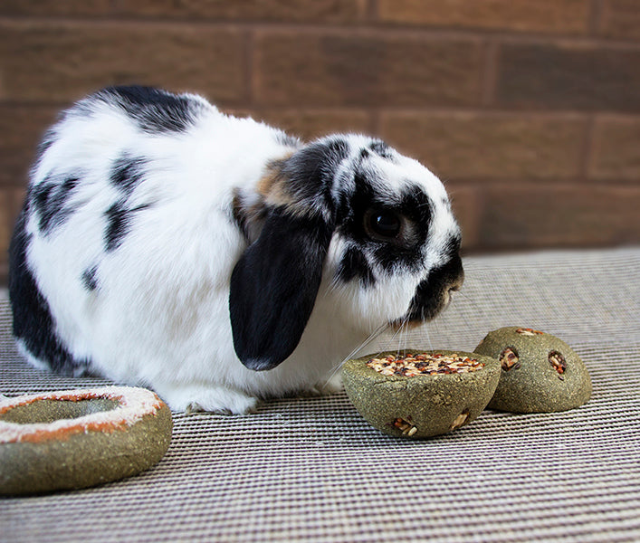 Rosewood Treat N Gnaw Bunny Buns 2pcs