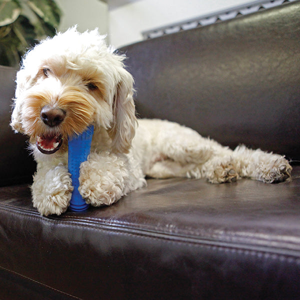 Rosewood Chillax Cool Bone 7"