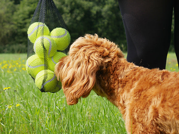Rosewood Tennis Balls Net Of 12