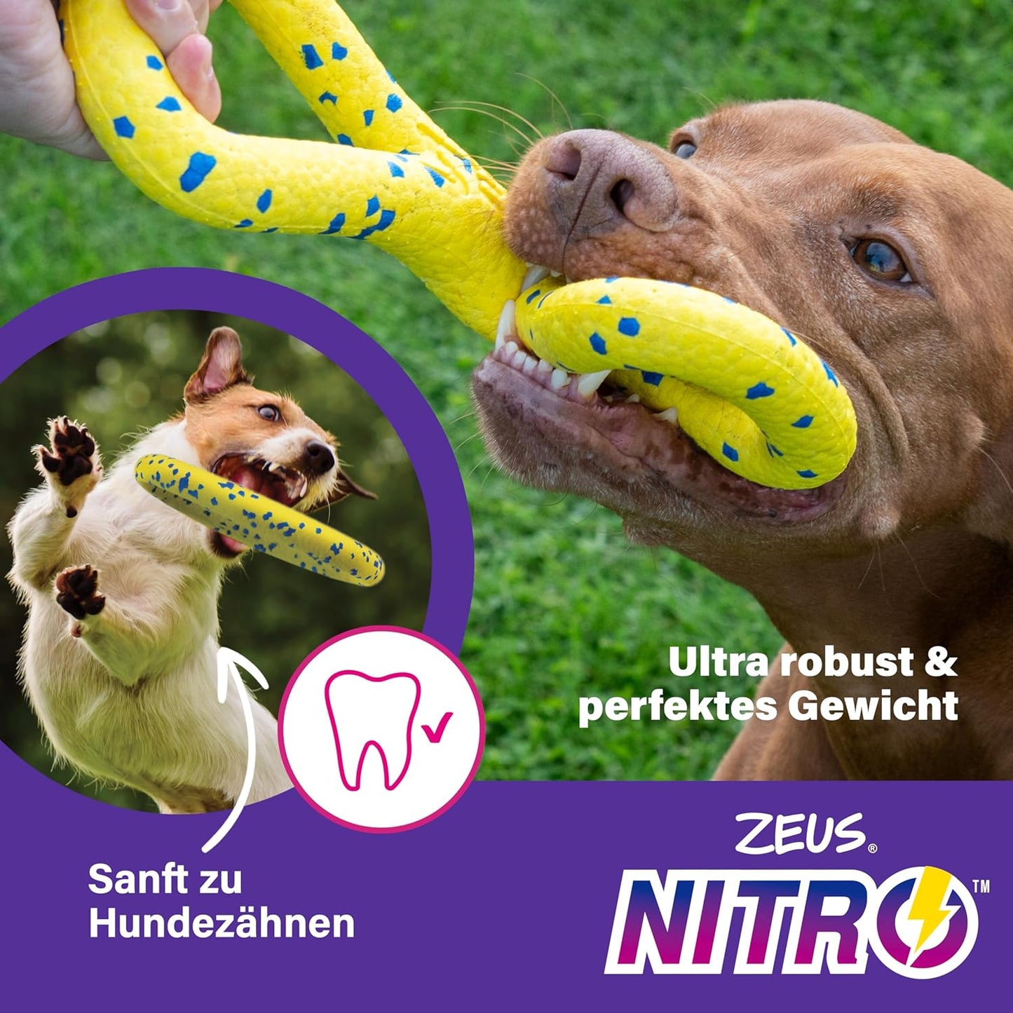 Zeus Nitro Ring 16cm