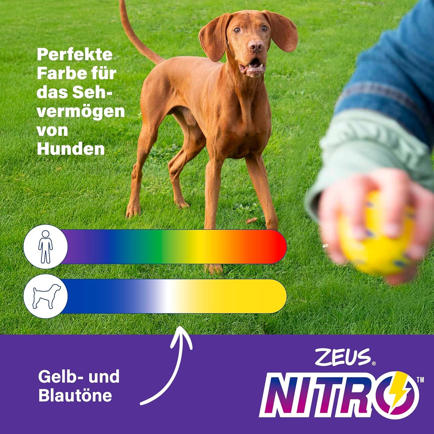 Zeus Nitro Ring 16cm