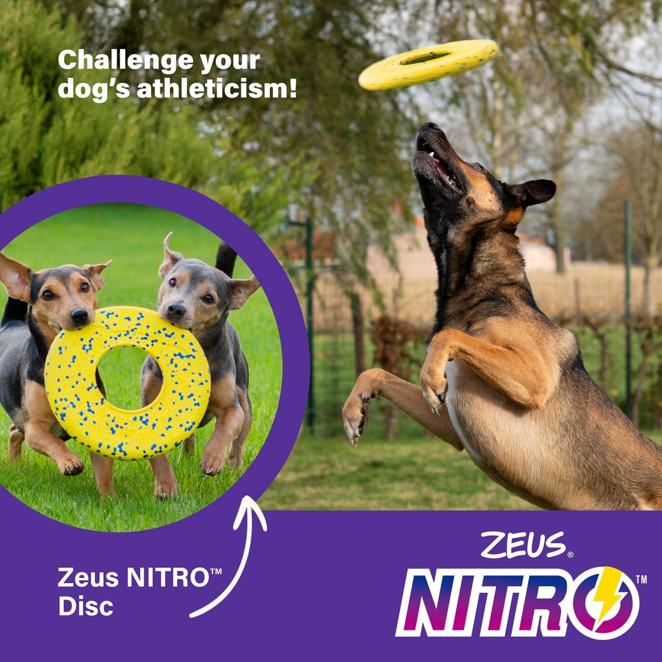 Zeus Nitro Weighted Flying Disc 24cm
