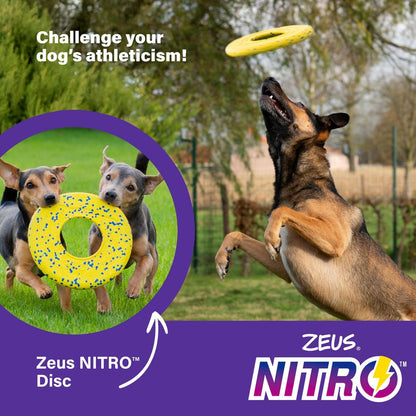 Zeus Nitro Weighted Flying Disc 24cm