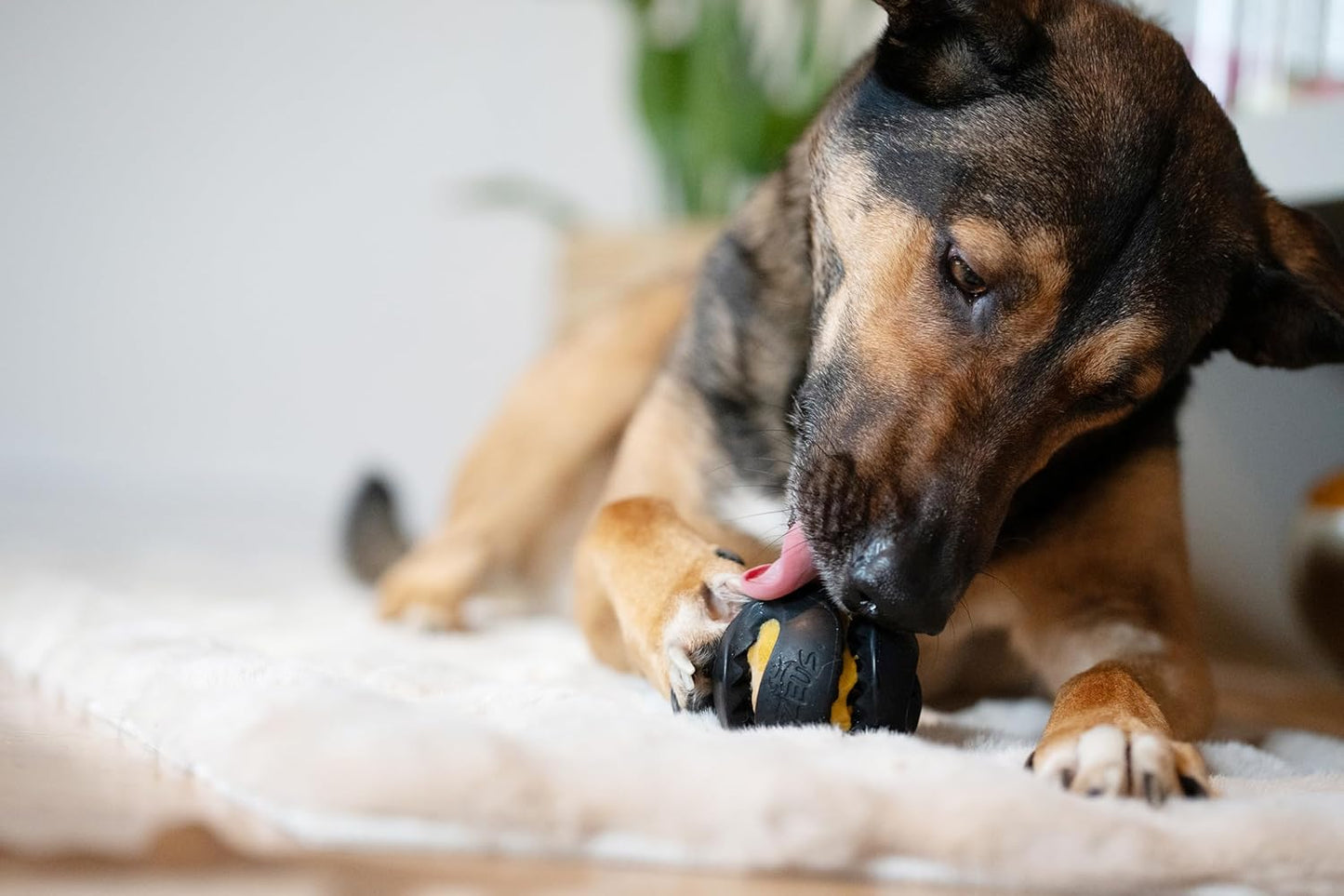 Zeus Chew Chasers Treat Ball Black 7.5cm