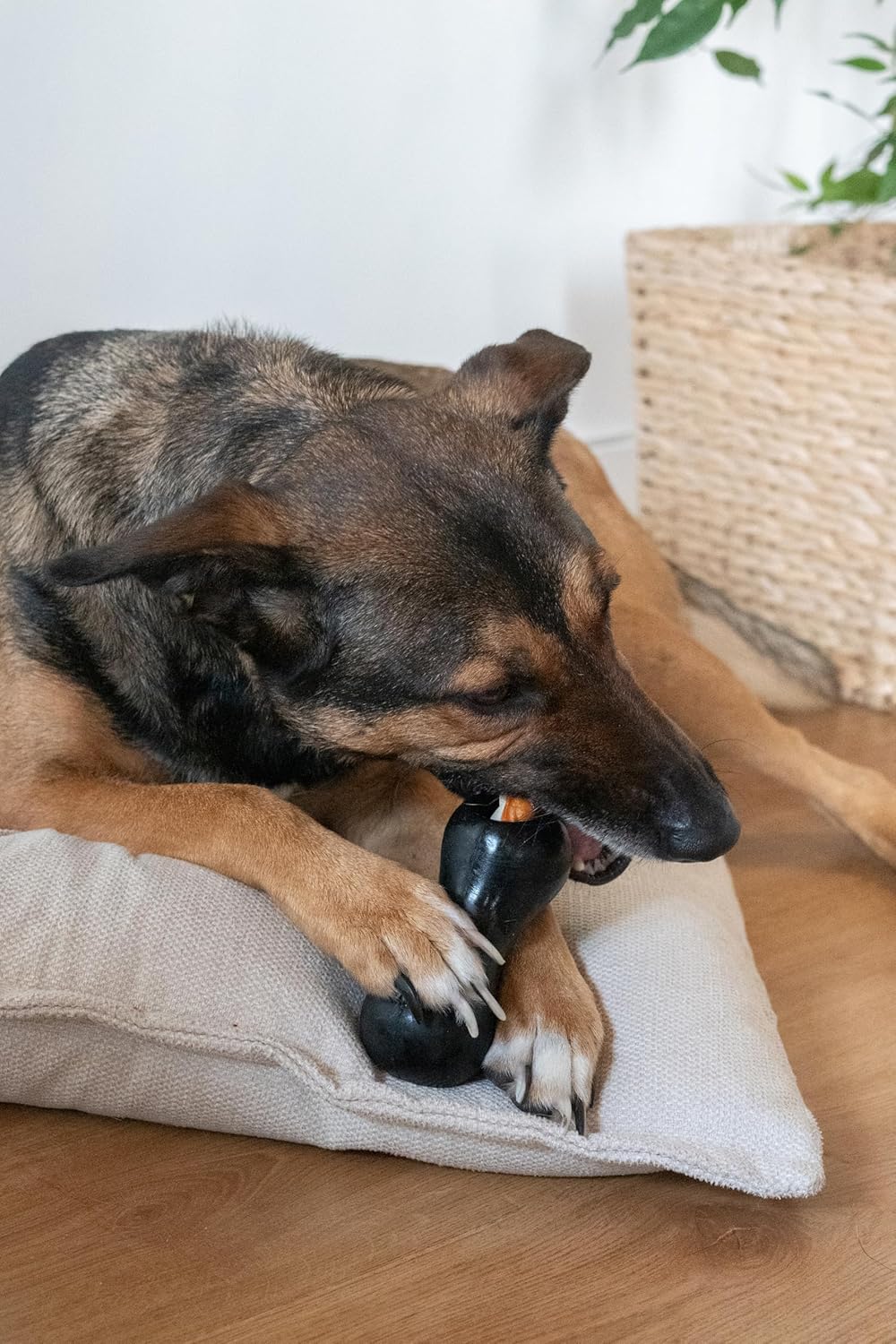 Zeus Chew Chasers Treat Peanut Black 14cm