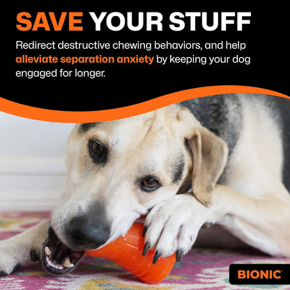 Bionic Treat Shaker Medium 8.7cm