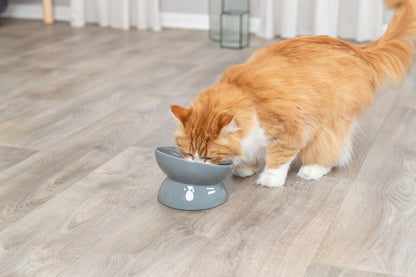 Trixie XXL Elevated Ceramic Cat Food Bowl Grey 350ml 17cm
