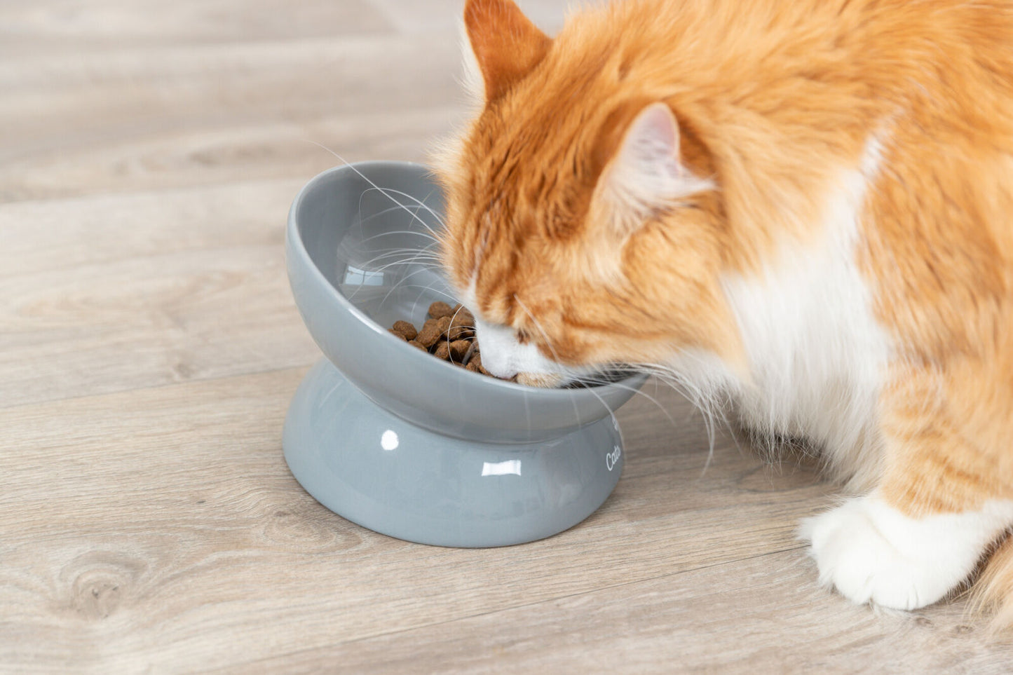 Trixie XXL Elevated Ceramic Cat Food Bowl Grey 350ml 17cm