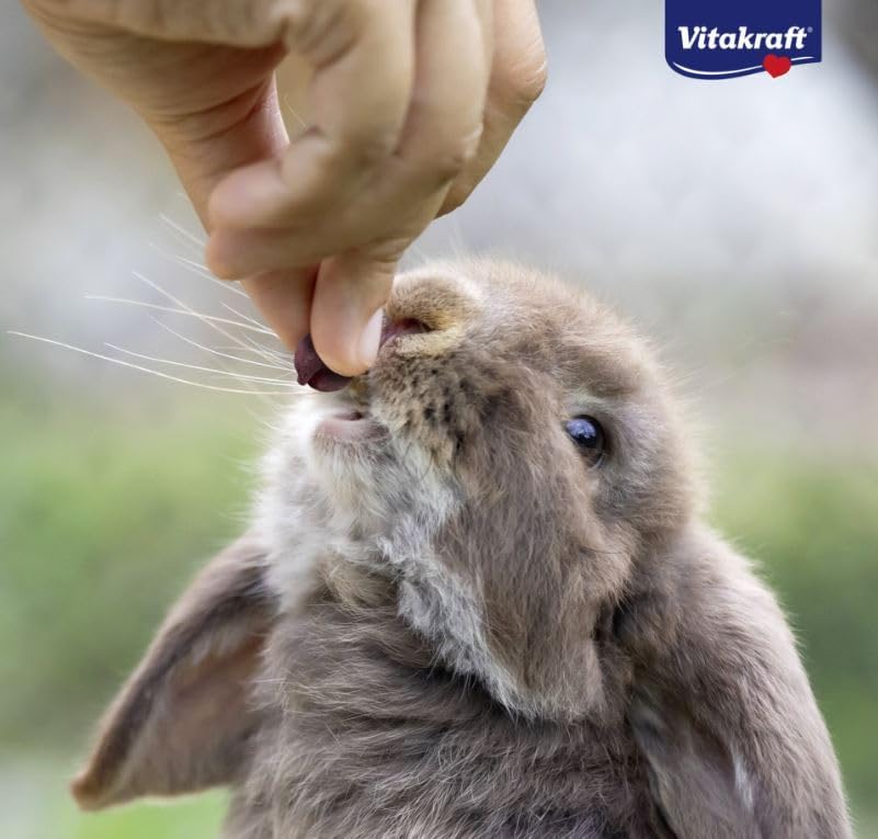 Vitakraft Wild Berry Small Animal Drops 75g