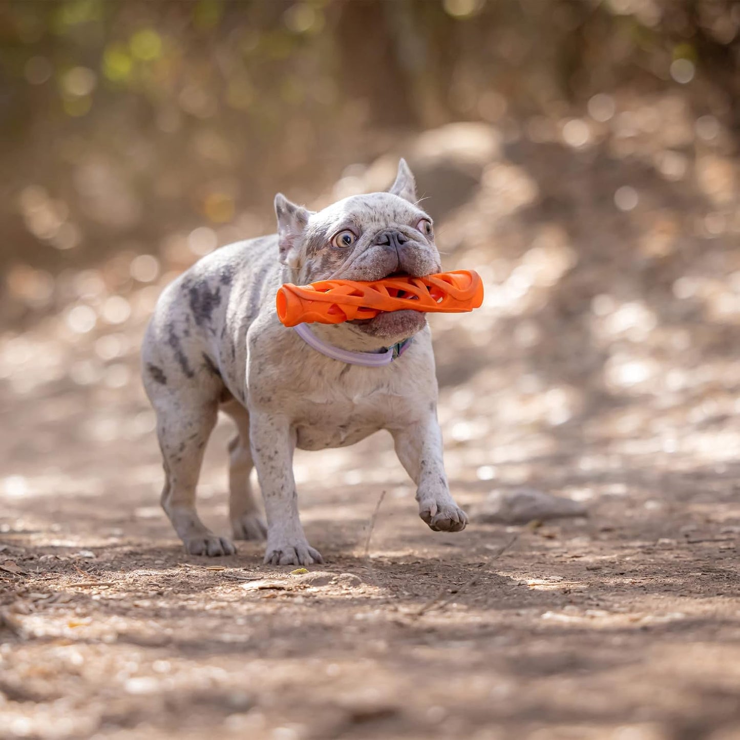 Chuckit! Air Fetch Stick Large