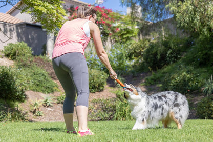 Chuckit! Ultra Fetch Stick