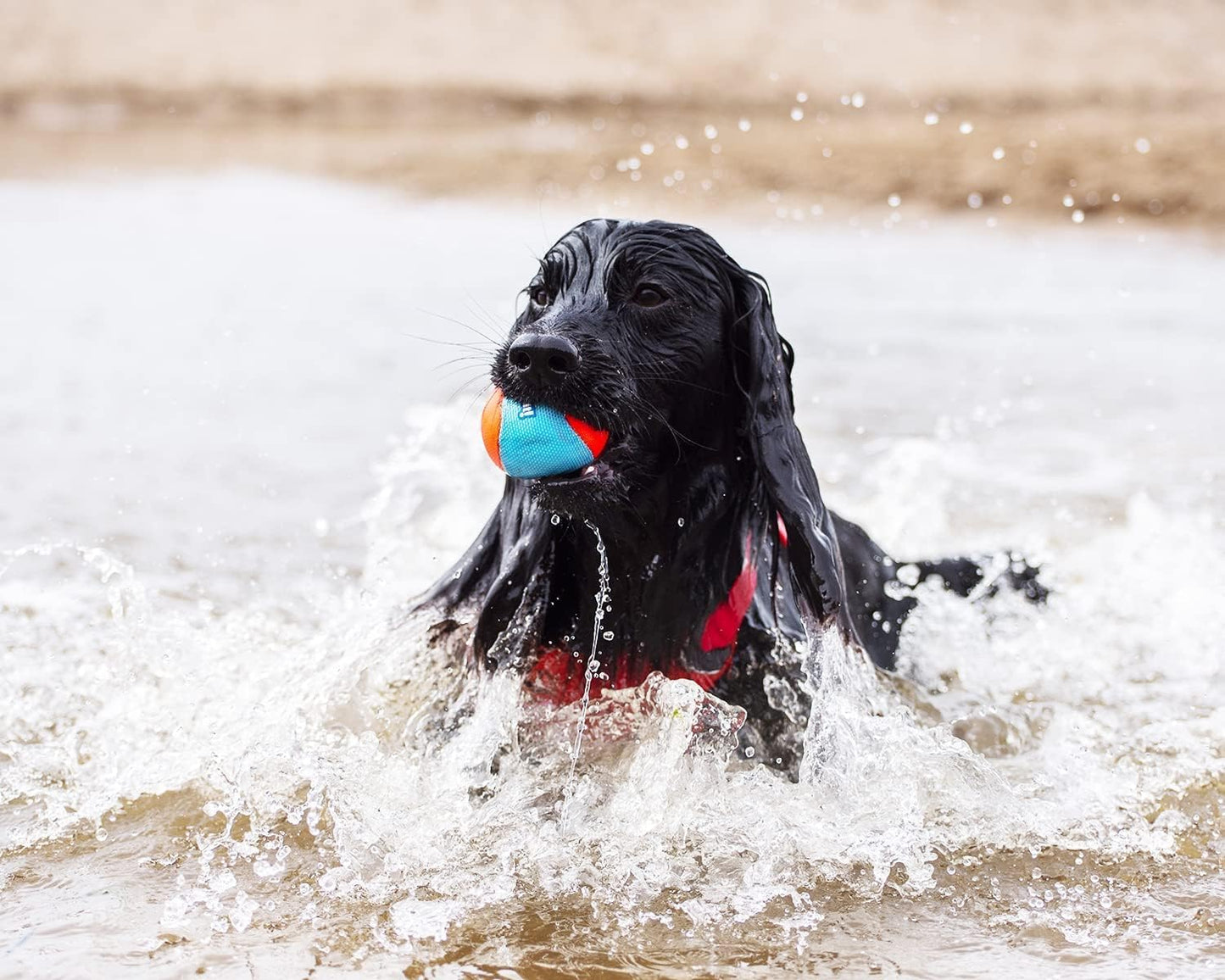 Chuckit! Amphibious Balls 3 Pack