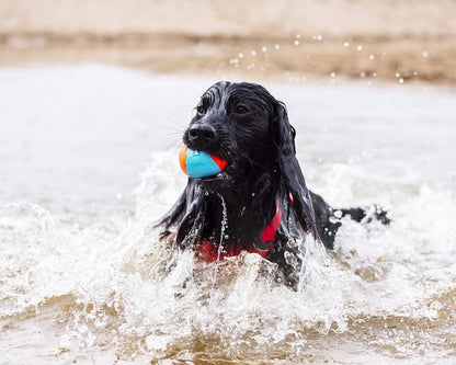 Chuckit! Amphibious Balls 3 Pack