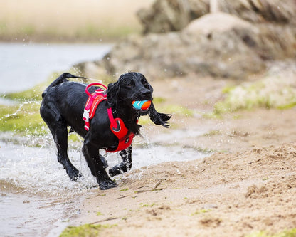Chuckit! Amphibious Balls 3 Pack