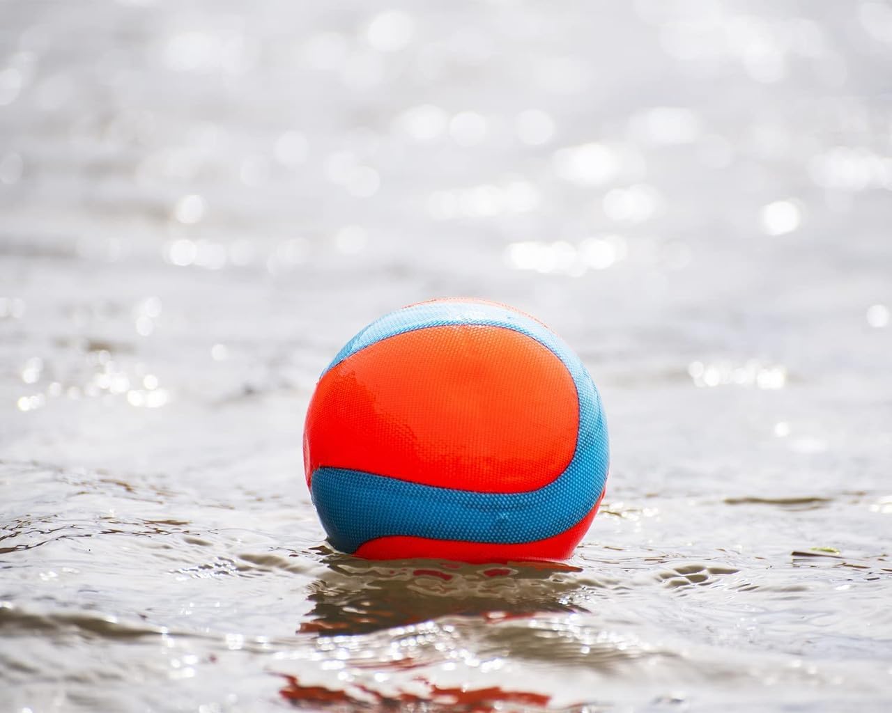 Chuckit! Amphibious Mega Ball