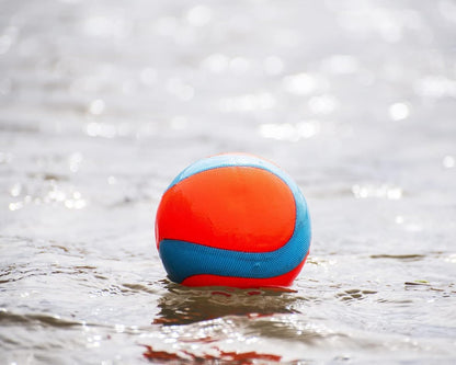 Chuckit! Amphibious Mega Ball