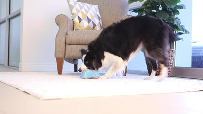Chuckit! Indoor Slider