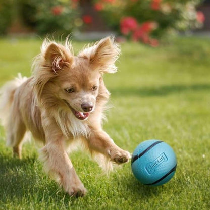 Chuckit! Sniff Fetch Ball Bacon Medium 1 Pack