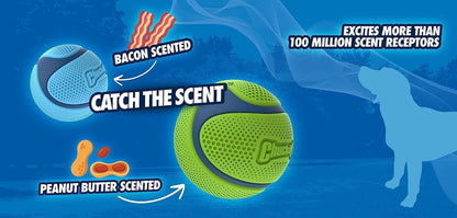 Chuckit! Sniff Fetch Ball Bacon Medium 1 Pack