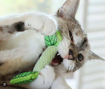 Catstages Fresh Breath Cat Mint Stick