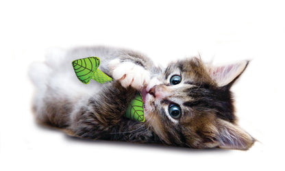 Catstages Fresh Breath Cat Mint Stick