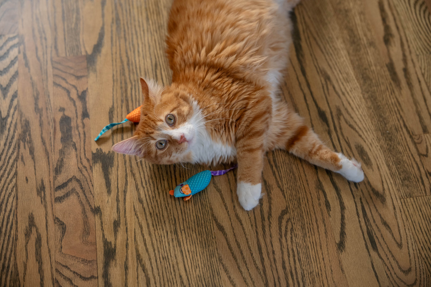 Catstages Catnip Chew Mice 2pck