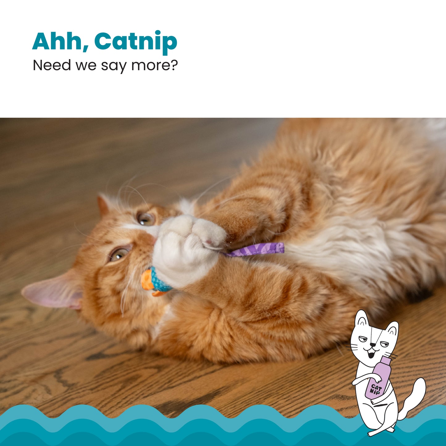 Catstages Catnip Chew Mice 2pck