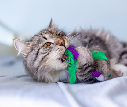 Catstages Krazy Kale Multi Textured Cat Crinkle Feather Toy