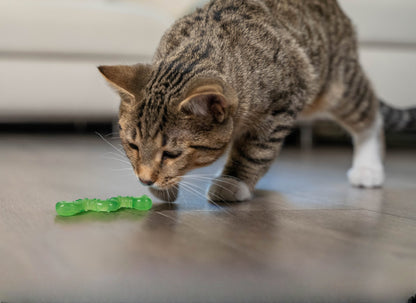 Catstages Catnip Wiggle Worm Infused With Catnip Oil