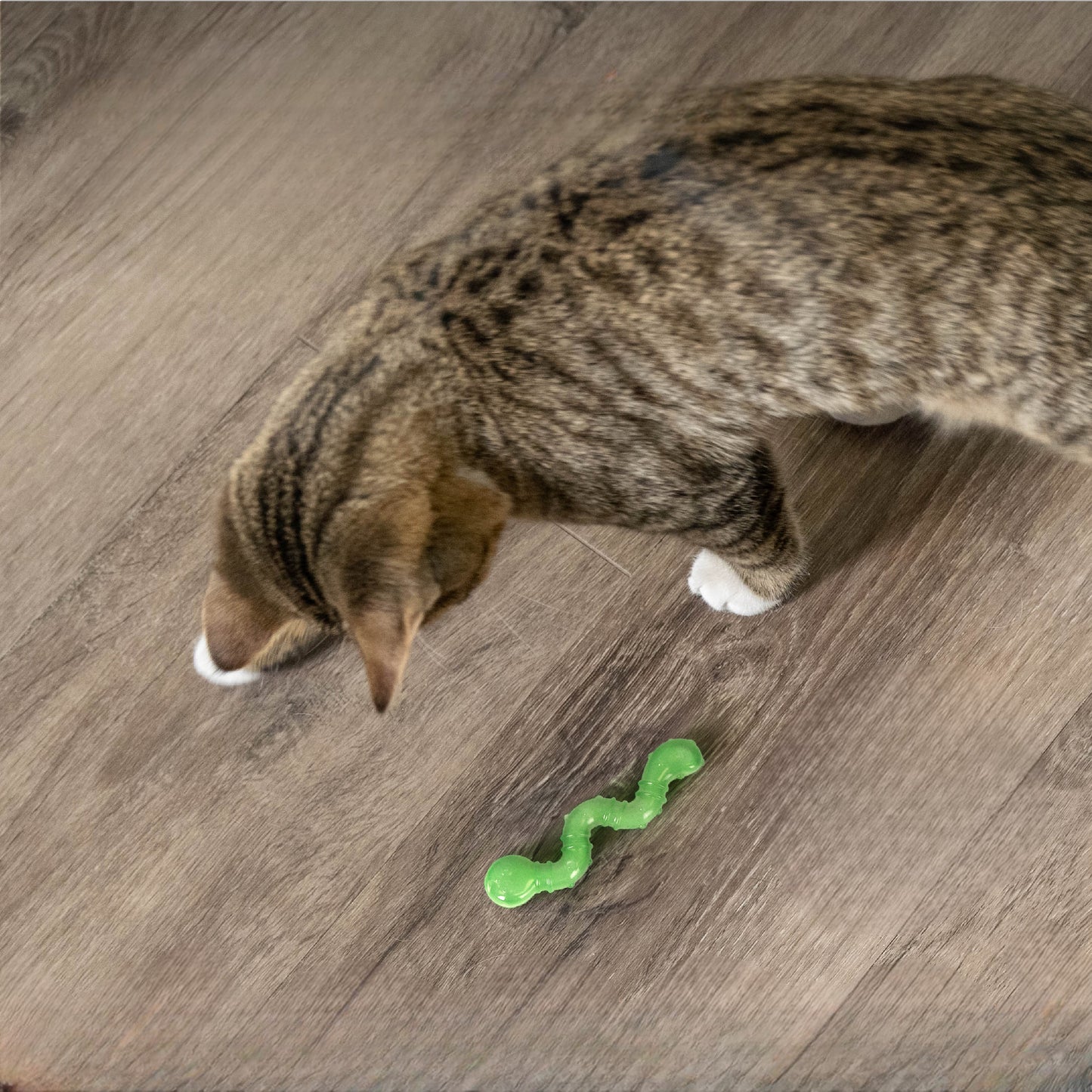 Catstages Catnip Wiggle Worm Infused With Catnip Oil