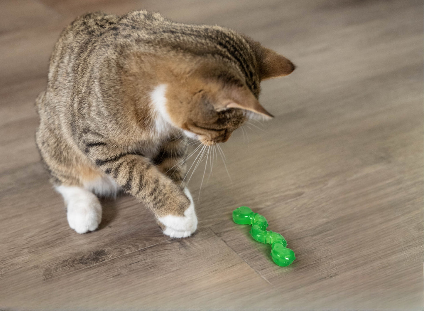 Catstages Catnip Wiggle Worm Infused With Catnip Oil