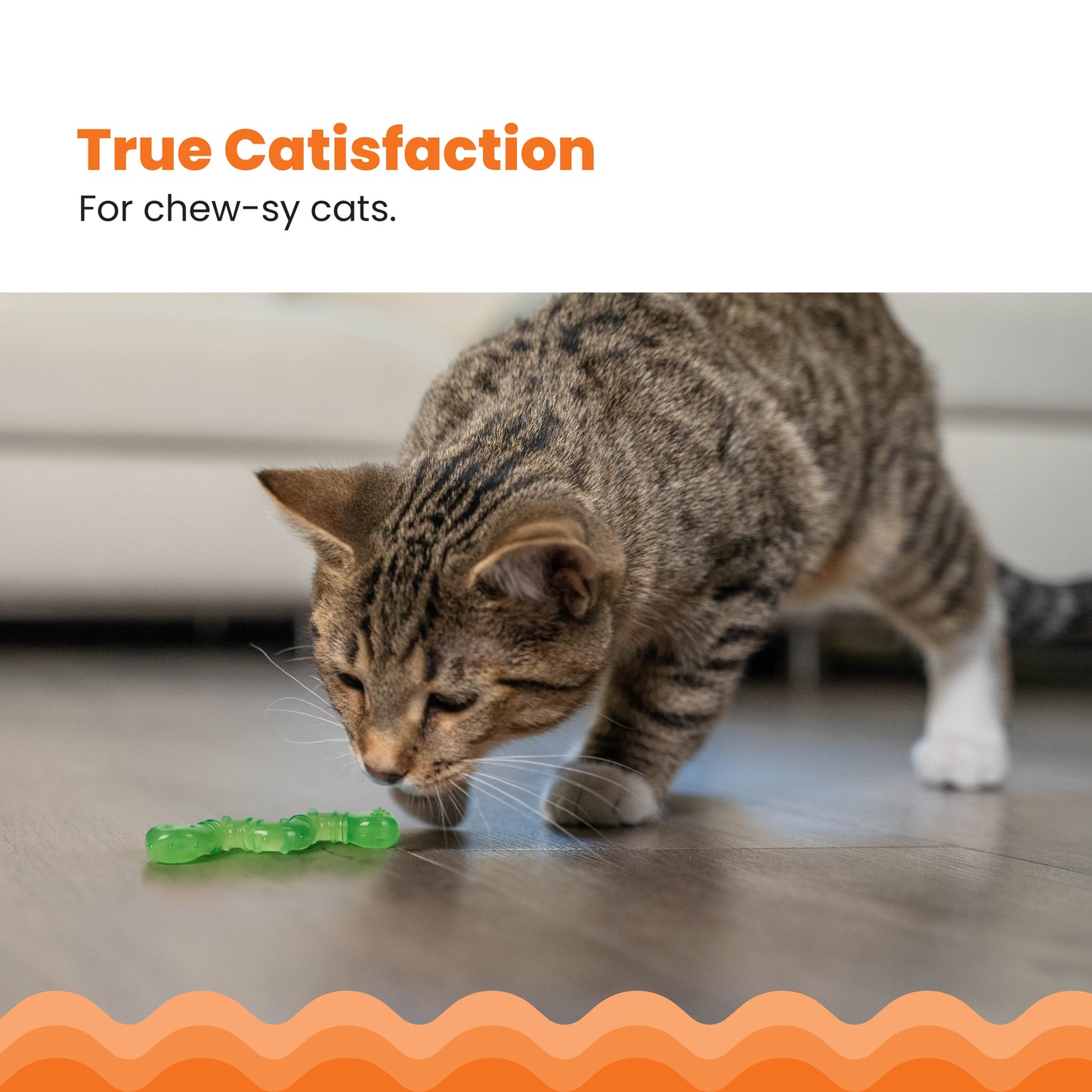 Catstages Catnip Wiggle Worm Infused With Catnip Oil