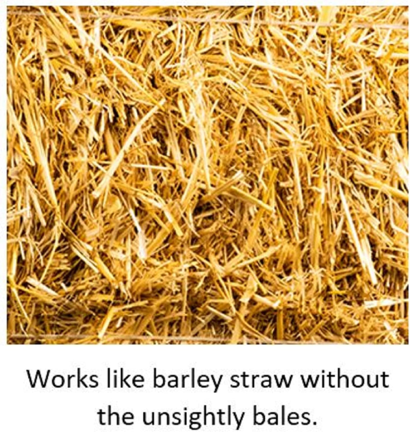 Blagdon Wildlife Barley Straw Bugs 1000 Ml